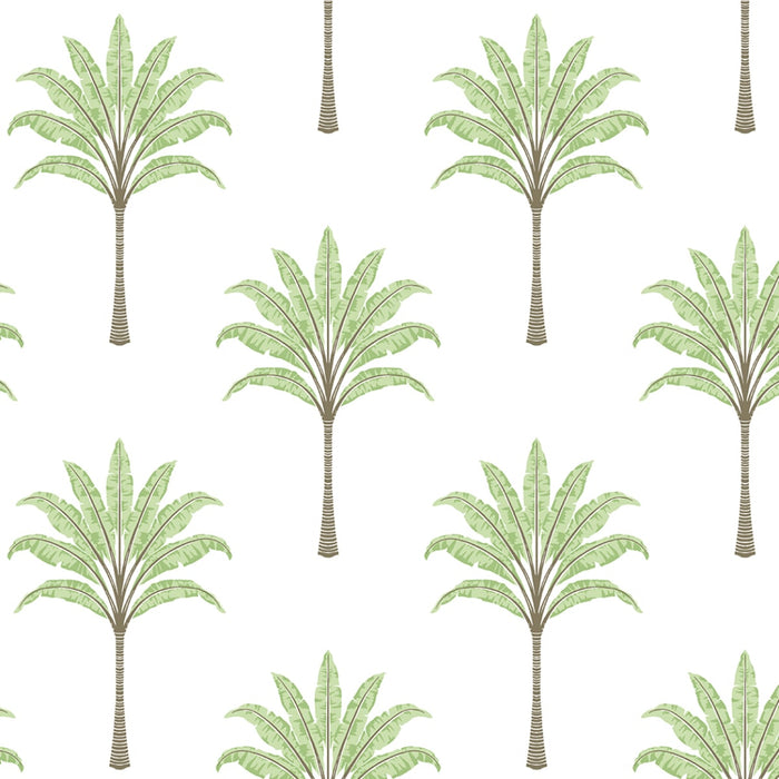 Seabrook Designs Montgomery Palm Green Tea Wallpaper Sample HG10704