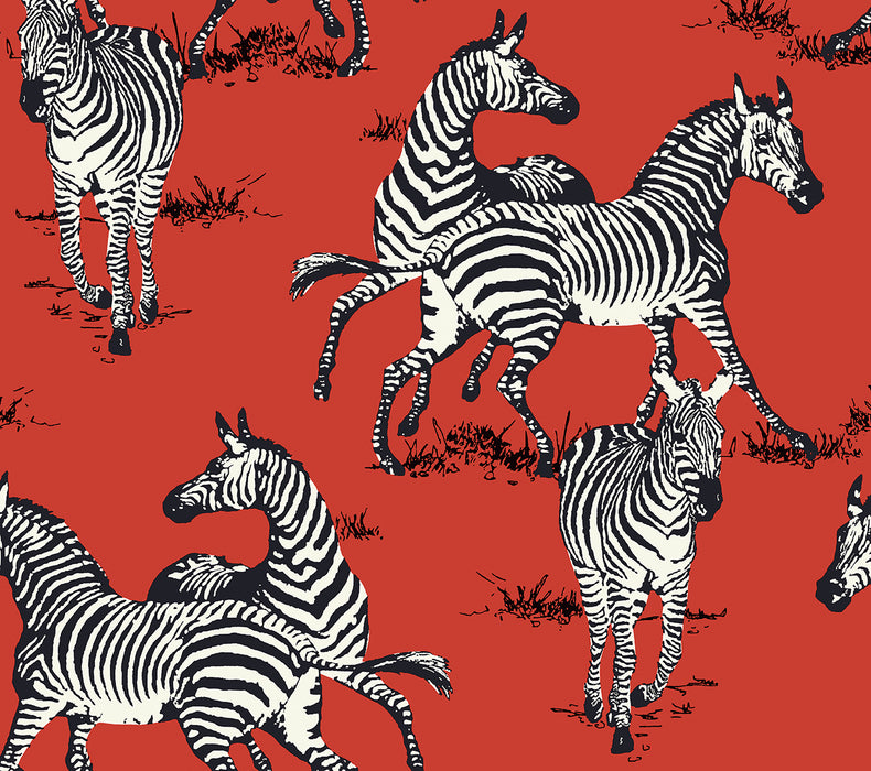 Seabrook Designs Playful Zebras Red Wallpaper Sample HG11101