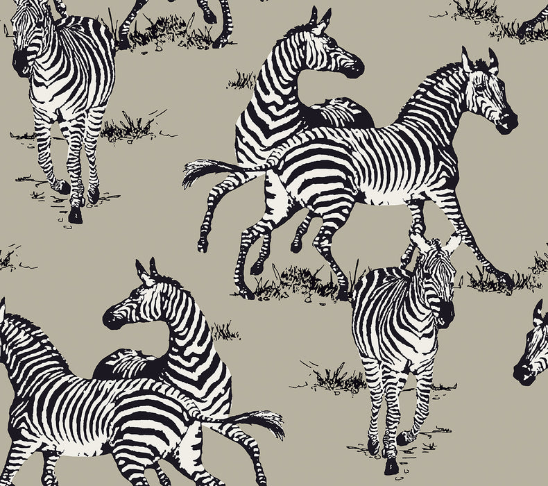 Seabrook Designs Playful Zebras Light Blue Wallpaper Sample HG11102