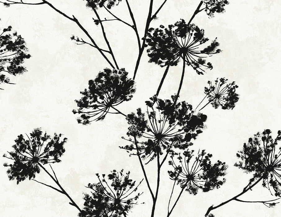 Seabrook Designs Dandelion Floral Ebony Wallpaper Sample HG12100