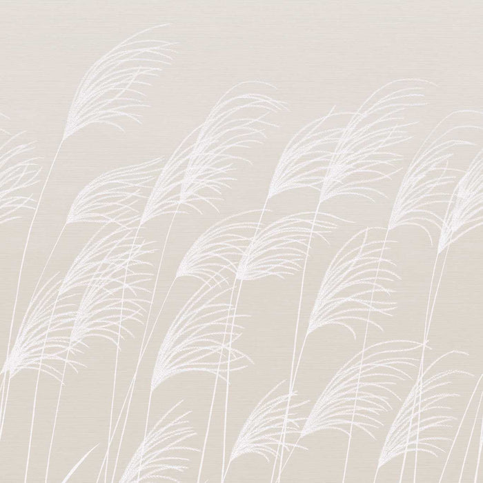 Harlequin Miscanthus Parchment/Frost Wallpaper Sample HKAW113231