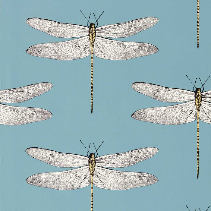 Harlequin Demoiselle Cornflower/First Light/Honey Wallpaper HRTW113144