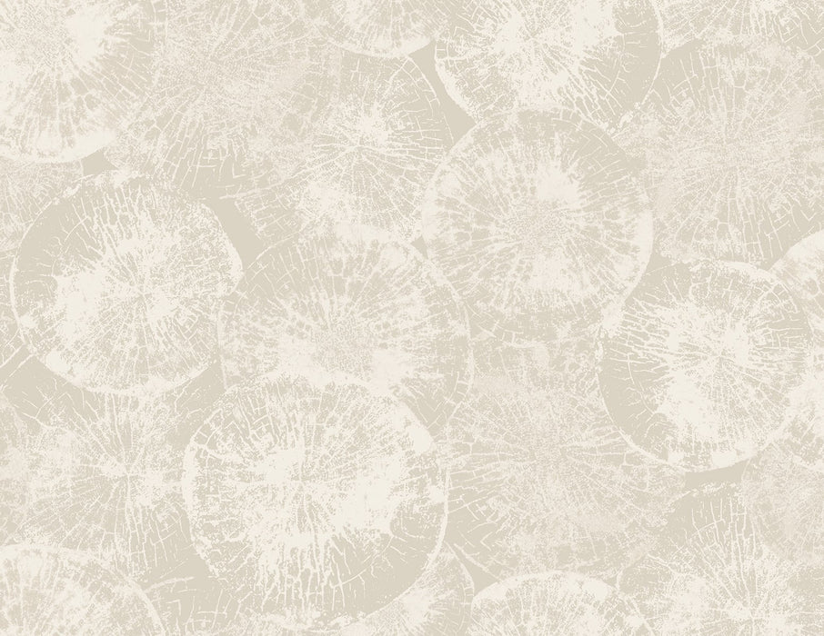 Seabrook Designs Eren Dove Grey Wallpaper Sample JP10707