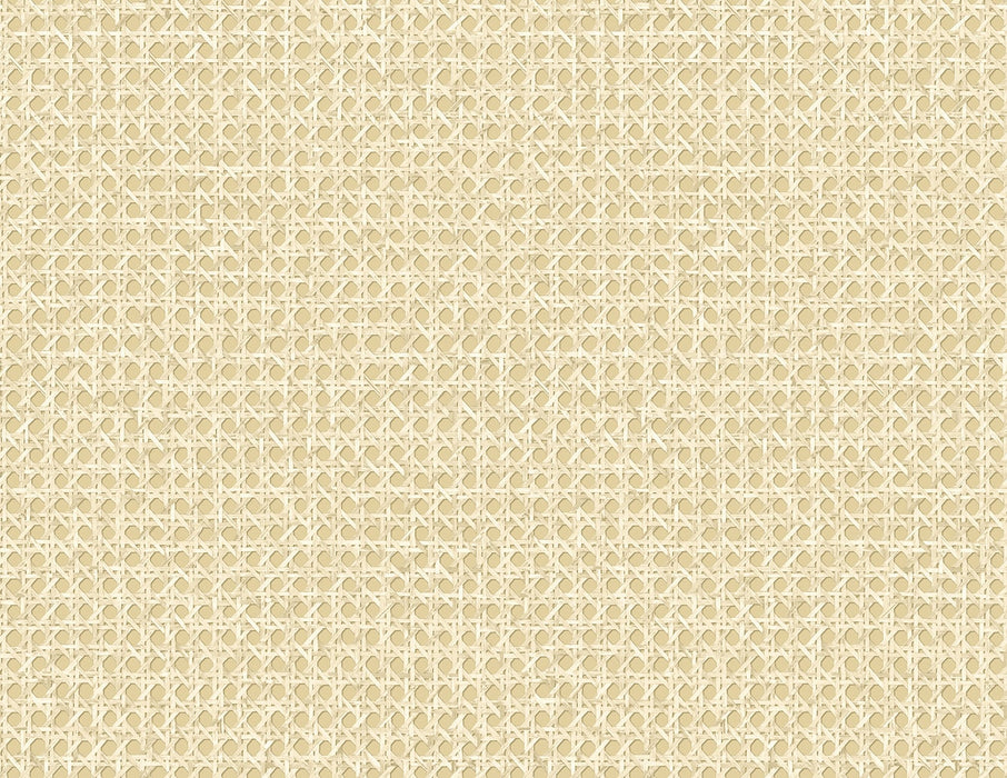 Seabrook Designs Mika Wheat Wallpaper Sample JP11203
