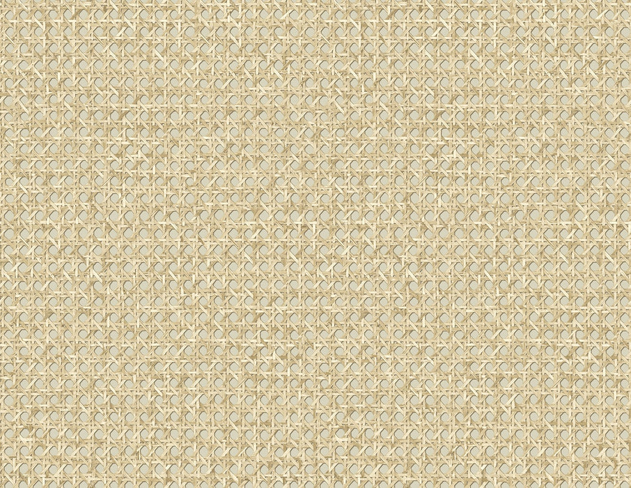 Seabrook Designs Mika Hemp Wallpaper Sample JP11205