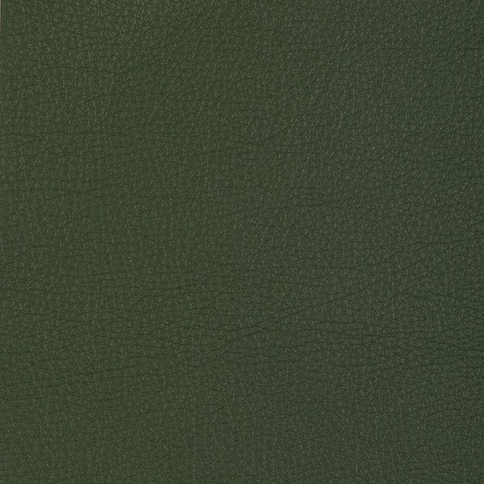 Kravet Design L-MANZANO L-Manzano-Sage Fabric L-MANZANO.SAGE.0