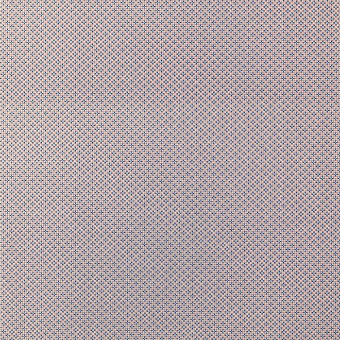 Gaston Y Daniela Prodigiosa Rosa/Azul Fabric LCT1145.001.0