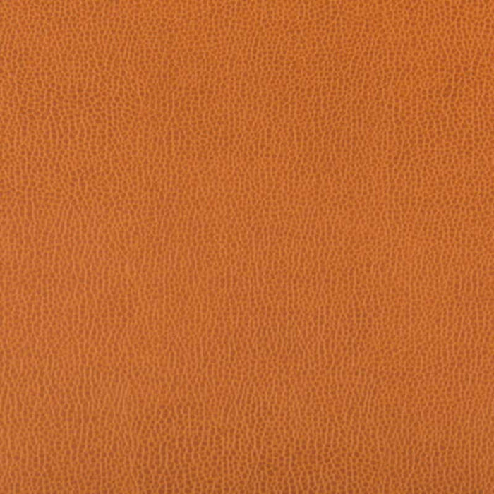 Kravet Contract Lenox Marmalade Fabric LENOX.424.0