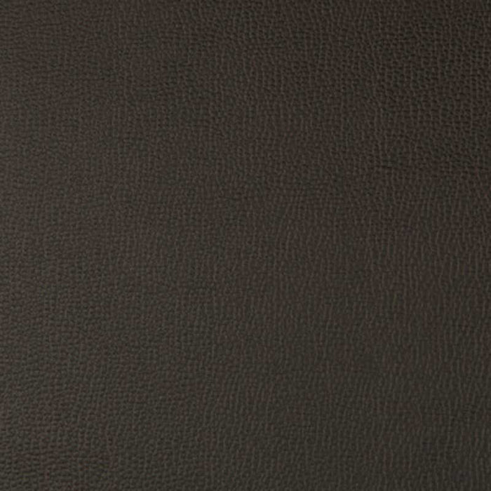 Kravet Contract Lenox Java Fabric LENOX.66.0