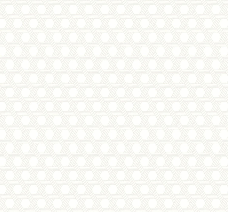 Lillian August Cabana Wicker Gray And Eggshell Wallpaper LN10200
