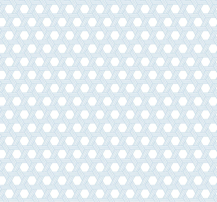 Lillian August Cabana Wicker Carolina Blue And Eggshell Wallpaper LN10202