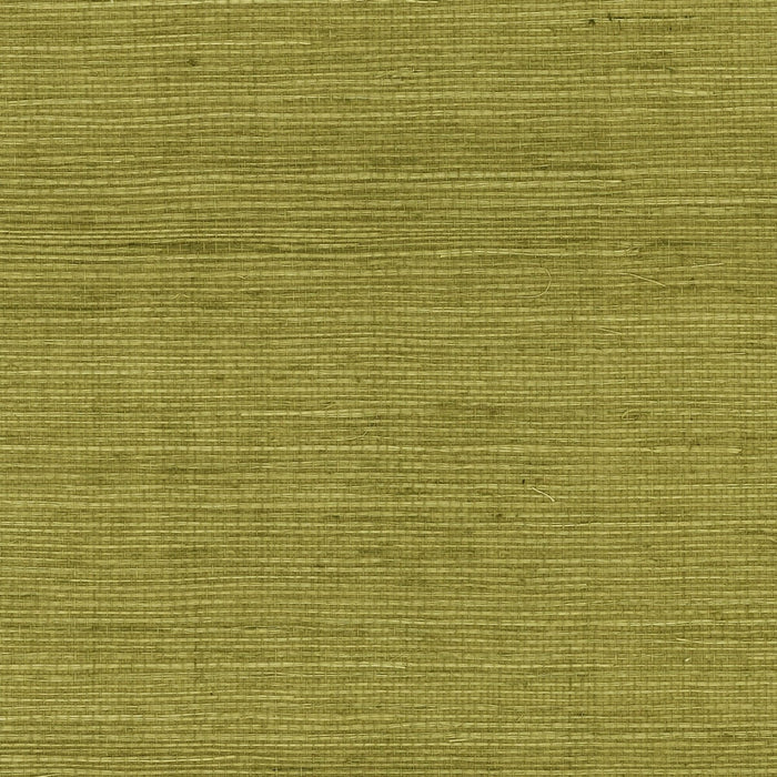 Lillian August Sisal Grasscloth Olive Wallpaper LN11804