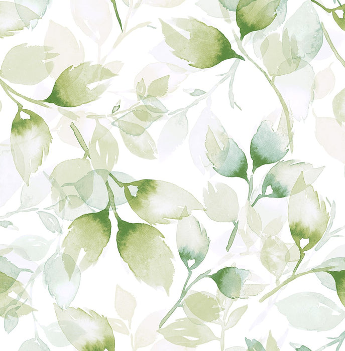 Lillian August Watercolor Tossed Leaves Green Ivy Wallpaper LN31104