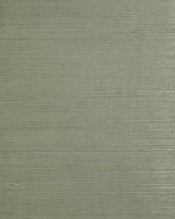 Lillian August Regular Weave Sisal Sage Wallpaper LN50025