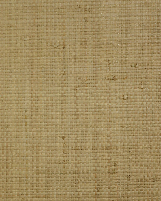 Lillian August Raffia (100%) Tan Wallpaper LN50040