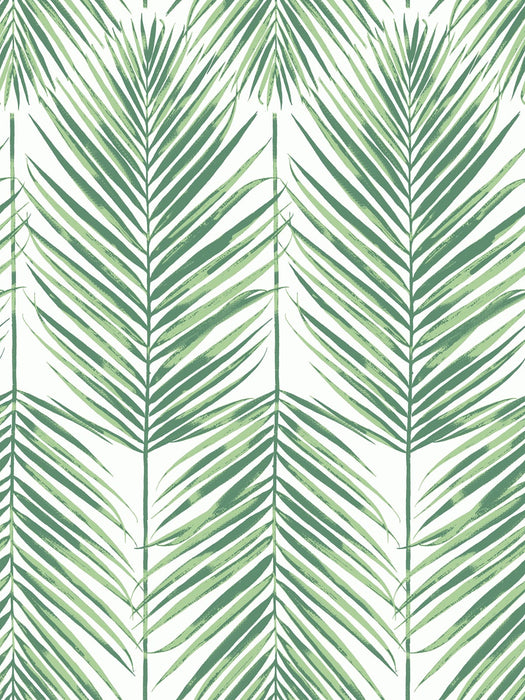 Seabrook Designs Paradise Palm Greenery Wallpaper Sample MB30034