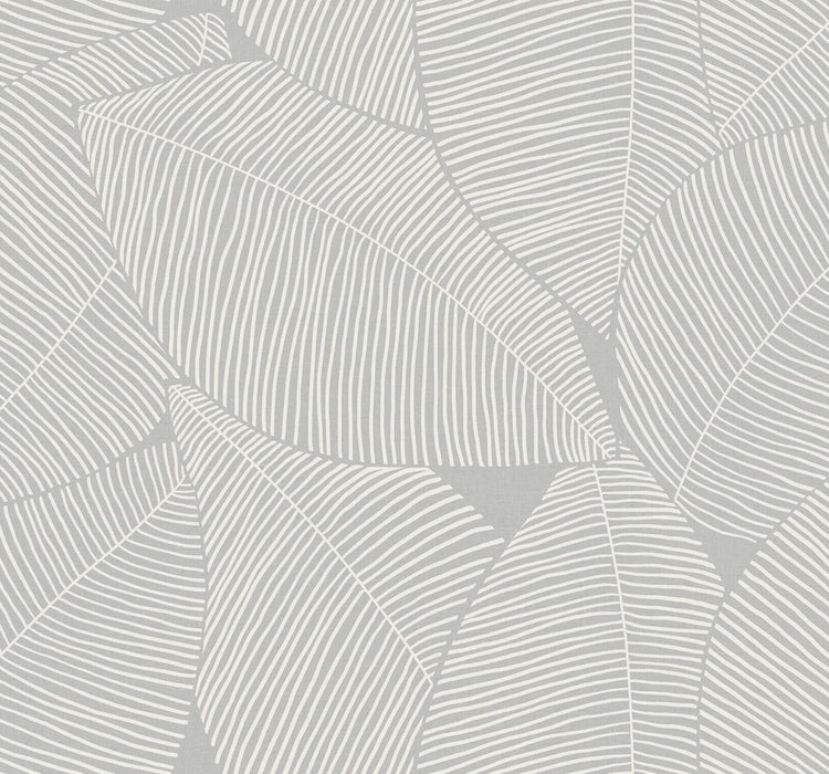 Seabrook Designs Summer Magnolia Daydream Gray Wallpaper MB31305