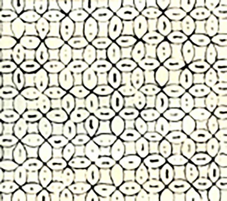 China Seas Melong Batik Black Wallpaper 6450-10WP