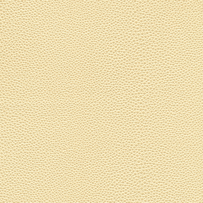 Kravet Design MINDY.1101.0 Fabric