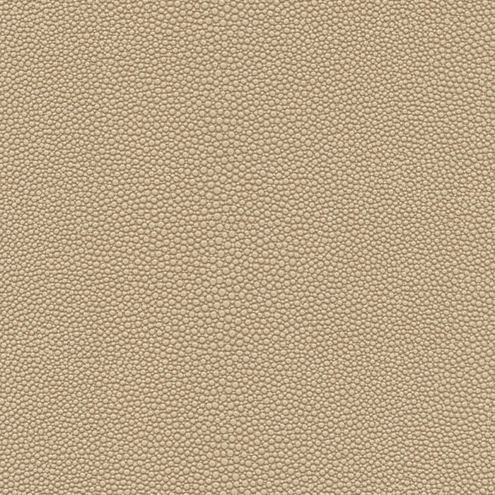 Kravet Design MINDY.21.0 Fabric