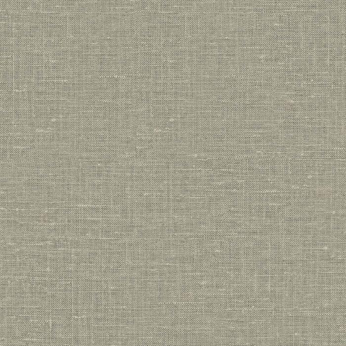 Maya Romanoff Entwine Inlet Linen (54 Inch) Gray Moray Wallpaper Sample MR-FV-38179-54