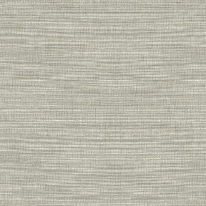 Maya Romanoff Wisping Weaves Cape May Silver Sand Dollar Wallpaper Sample MR-FV-39179