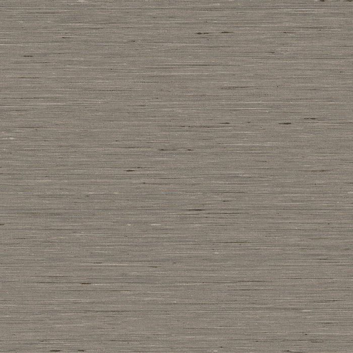 Maya Romanoff Entwine Serene Silk (54 Inch) Appalachian Ash Wallpaper Sample MR-FV-40113-54