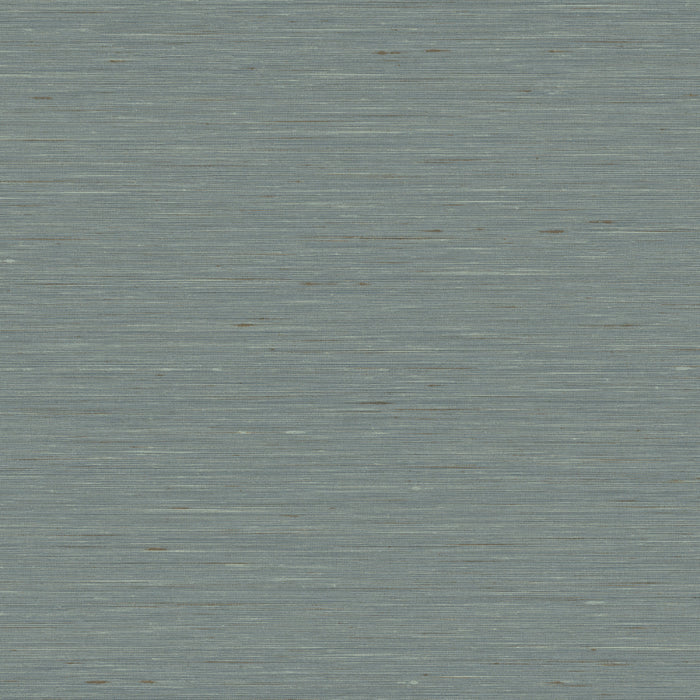 Maya Romanoff Entwine Serene Silk (54 Inch) Baker Blue Wallpaper Sample MR-FV-40508-54