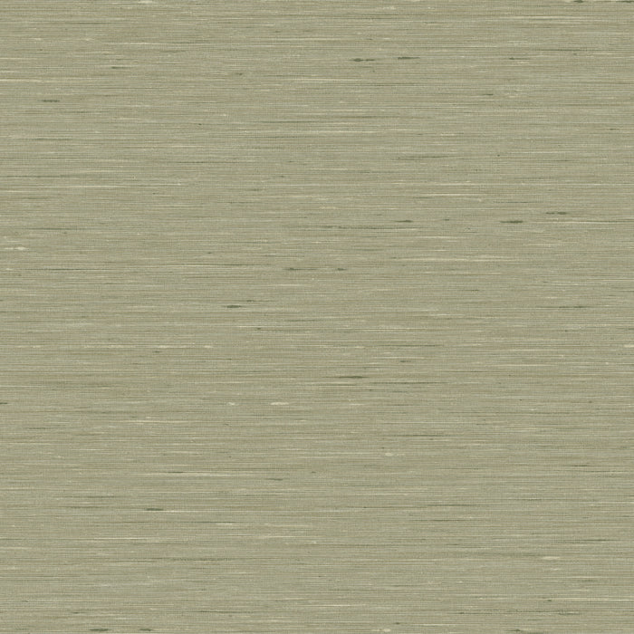Maya Romanoff Entwine Serene Silk (54 Inch) Everglade Green Wallpaper Sample MR-FV-40667-54