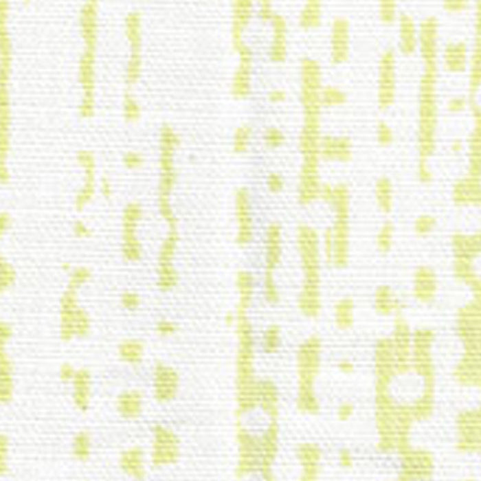 Alan Campbell Mojave Lines Pale Fern Fabric AC715-01