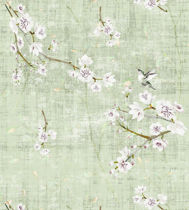 Nicolette Mayer Blossom Fantasia - Sheer Celadon Fabric N4BL101055