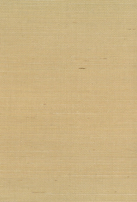 Seabrook Designs Sisal Brown Wallpaper Sample NA211
