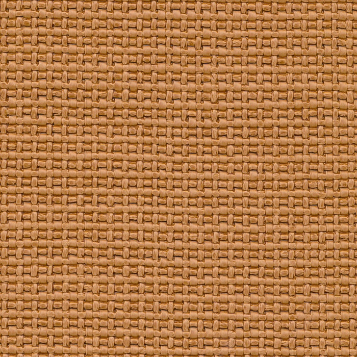 Kravet Design NEXUS.6.0 Fabric Sample