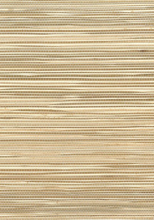 Seabrook Designs Boodle Brown Wallpaper Sample NR127X