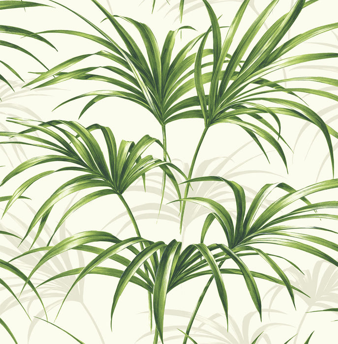 NextWall Tropical Palm Leaf Green And Off-white Wallpaper NW32504