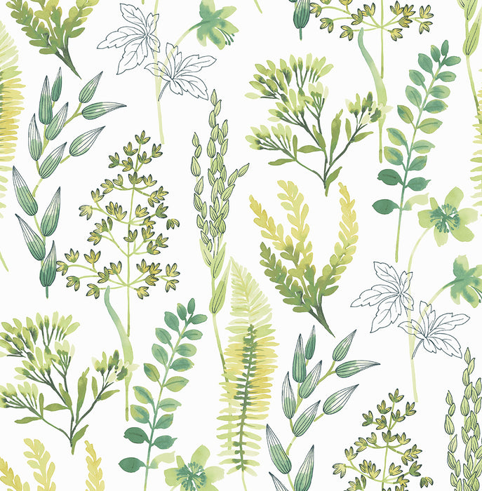NextWall Wild Garden Lemon Lime Wallpaper NW45412