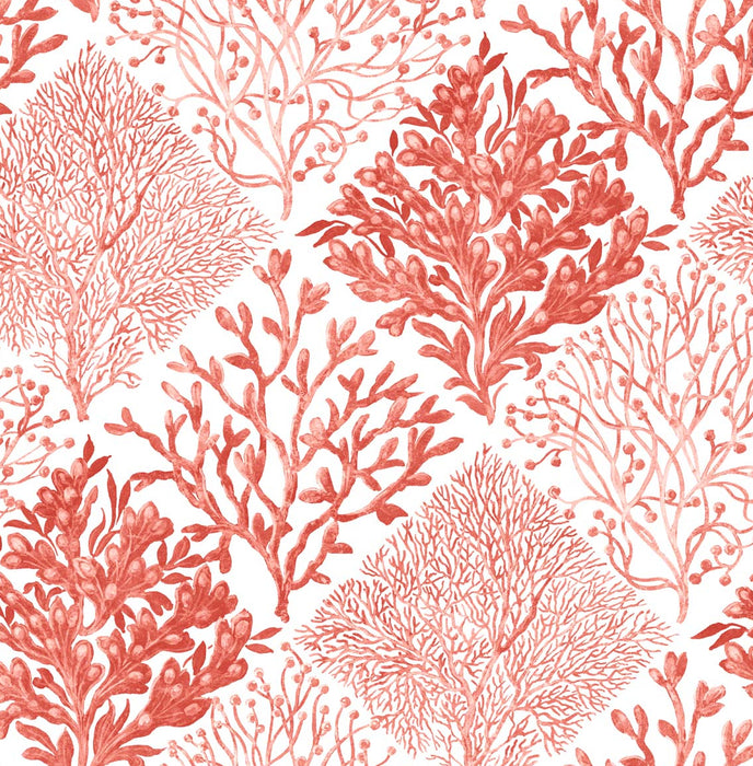 NextWall Seaweed Vermillion Wallpaper NW45804