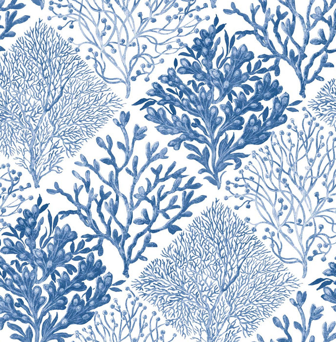 NextWall Seaweed Coastal Blue Wallpaper NW45805