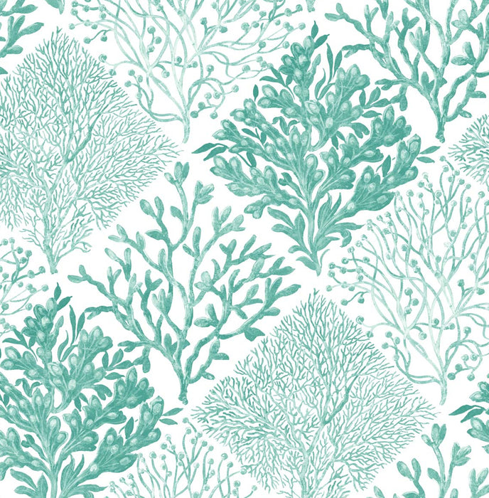 NextWall Seaweed Seaglass Wallpaper NW45806