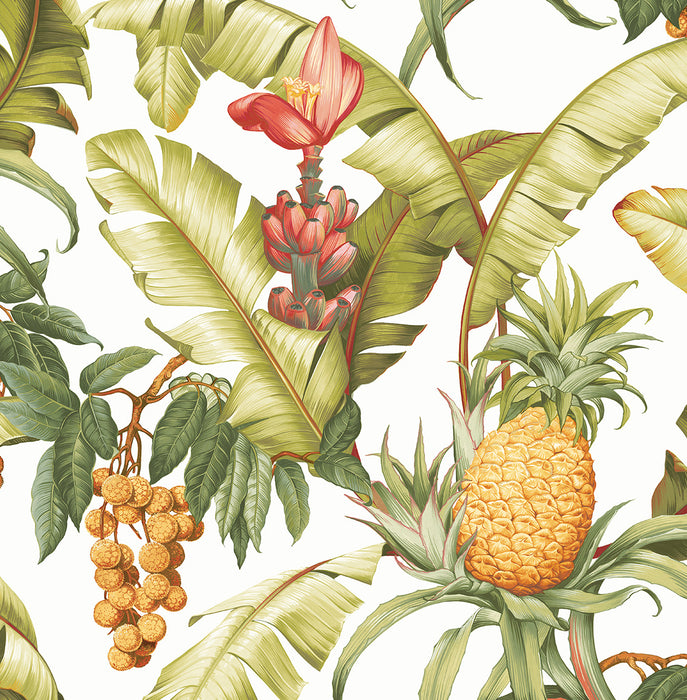 NextWall Pineapple Floral Off-white Wallpaper NW46305