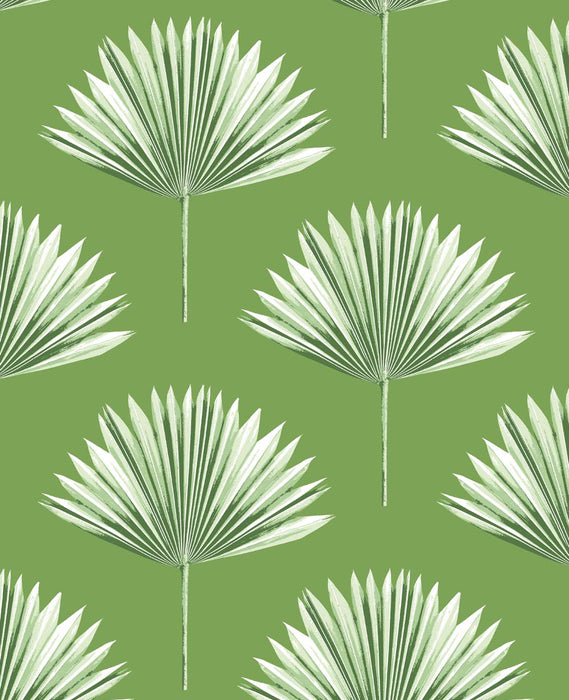 NextWall Tropical Fan Palm Green Sprout Wallpaper NW46504