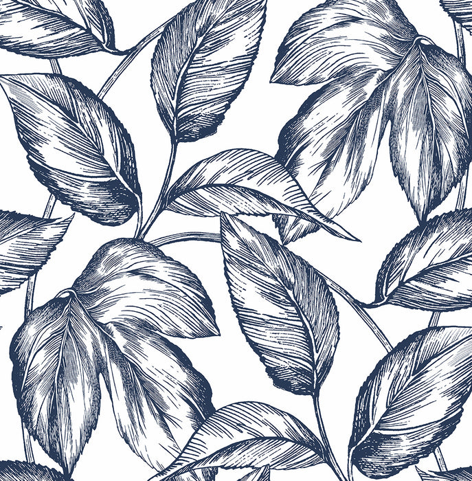 NextWall Sketched Leaves Navy Blue Wallpaper NW46902