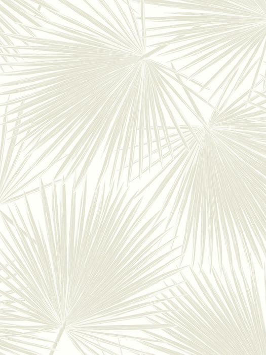NextWall Aruba Palm Sea Salt Wallpaper NW47710