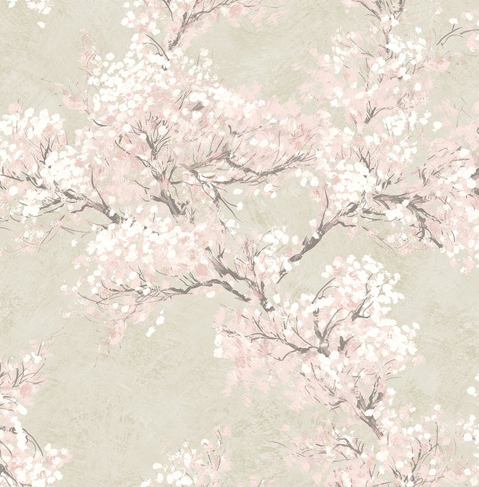 NextWall Cherry Blossom Grove Parchment & Rose Wallpaper NW50101