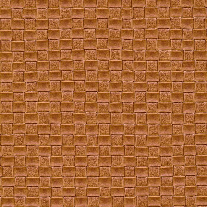 Kravet Design OLIA.166.0 Fabric Sample