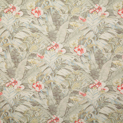 Pindler Palmer Natural Fabric P6756