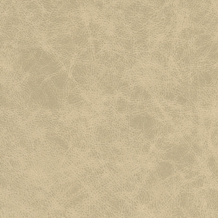 Kravet Design PATCH.11.0 Fabric