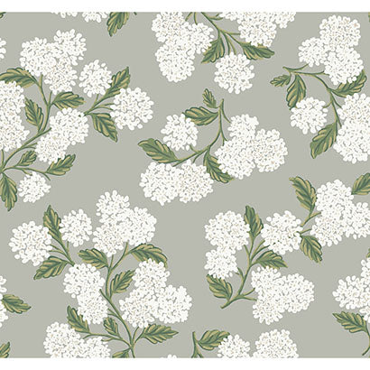 Rifle Paper Co Hydrangea Grey Sample RI5144