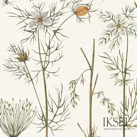 Schumacher Herbier White Wallpaper RW417CS70