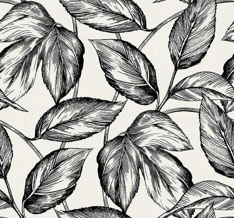 Seabrook Designs Beckett Sketched Leaves Volcanic Black Wallpaper Sample SC20000